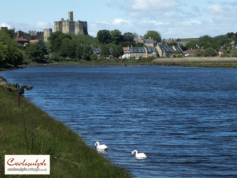 Cottages in Northumberland